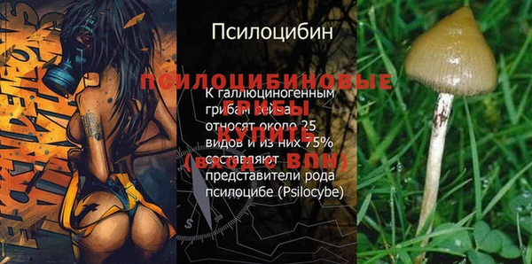первитин Михайловск