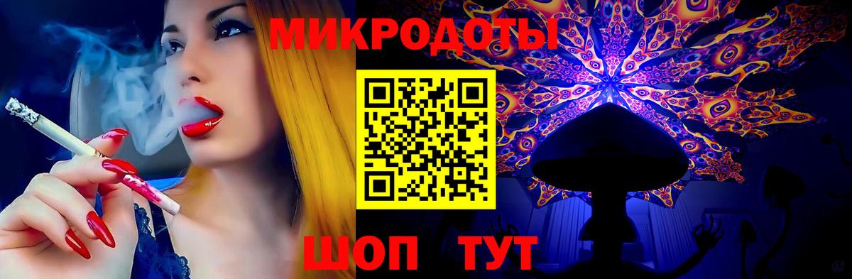 Псилоцибиновые грибы Psilocybe  Урай  Псилоцибиновые грибы Psilocybe 