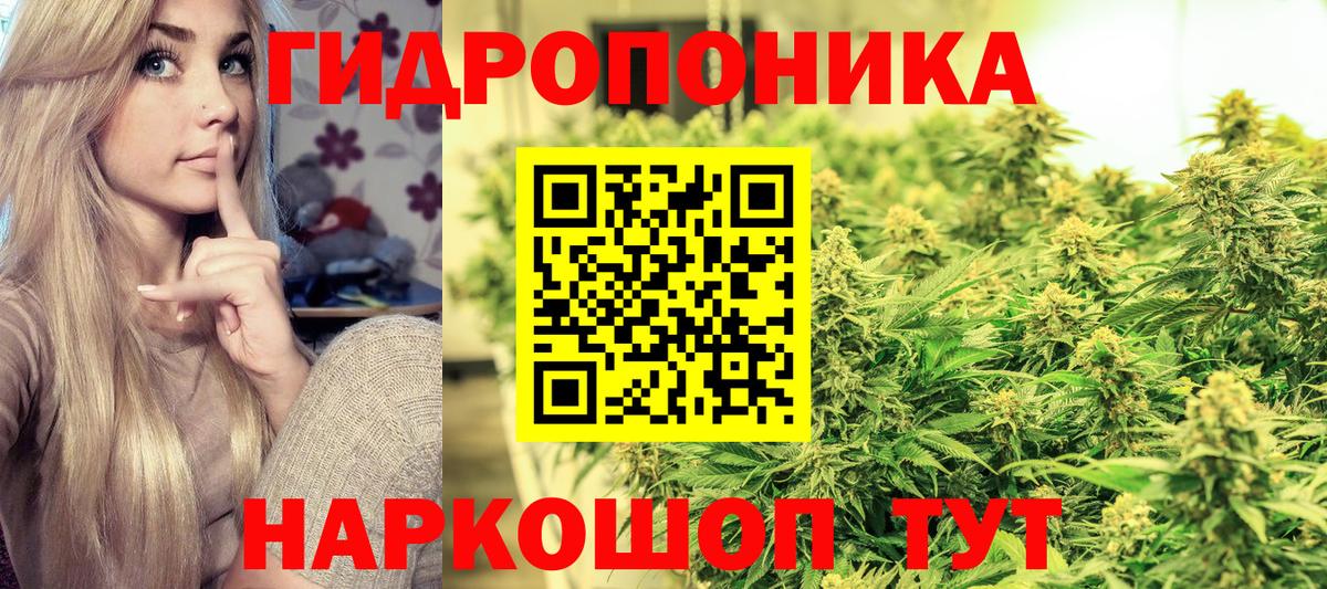Бошки Шишки план  Урай  Бошки Шишки планчик  МАРИХУАНА Ganja 